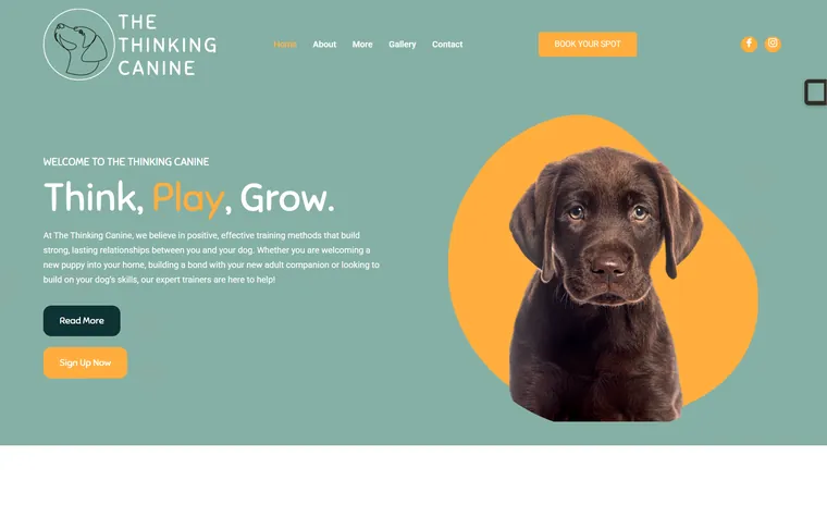 The Thinking Canine website by FUTR Agency
